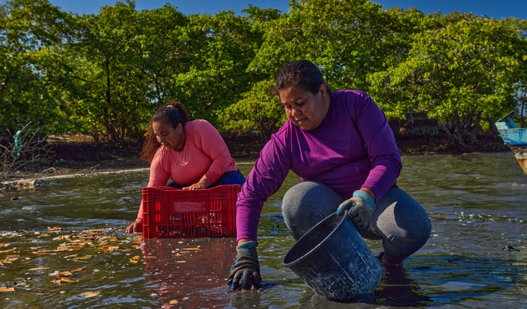 Divulgado resultado final do edital de Fortalecimento Produtivo dos Territórios Pesqueiros
