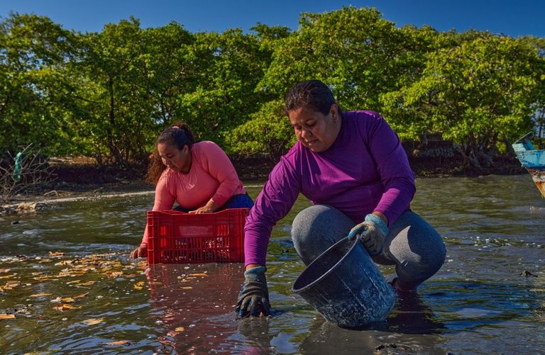 Divulgado resultado final do edital de Fortalecimento Produtivo dos Territórios Pesqueiros
