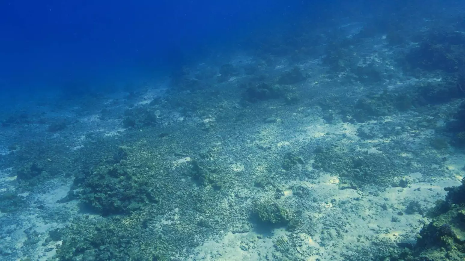 A energia do oceano: como ondas e marés podem transformar o futuro da eletricidade