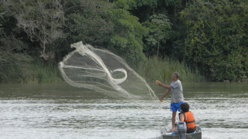 Piscicultura mineira ganha impulso com fortalecimento da Rota do Pescado