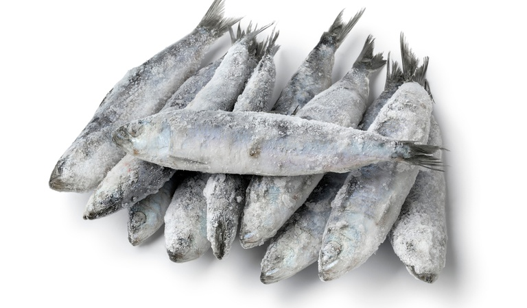 Anvisa determina recolhimento de sardinha por contaminação por Salmonella