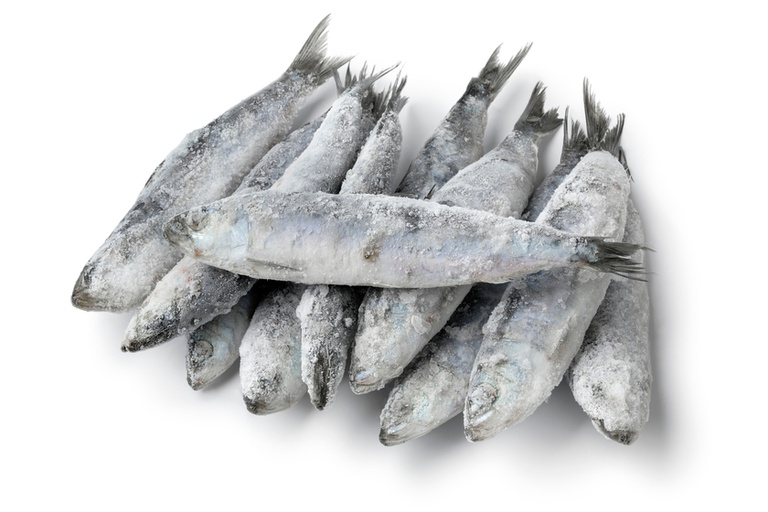 Anvisa determina recolhimento de sardinha por contaminação por Salmonella