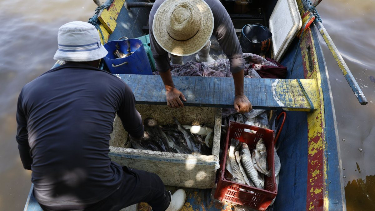 Ministério vai investir R$ 2,3 milhões em projetos de pesca artesanal