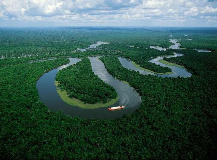 No Dia Mundial do Meio Ambiente, Governo do Brasil ressalta avanços conquistados pelo país desde 2023