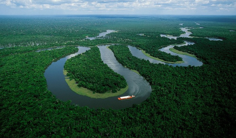 No Dia Mundial do Meio Ambiente, Governo do Brasil ressalta avanços conquistados pelo país desde 2023