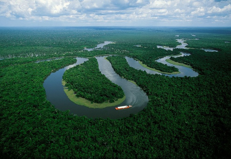 No Dia Mundial do Meio Ambiente, Governo do Brasil ressalta avanços conquistados pelo país desde 2023