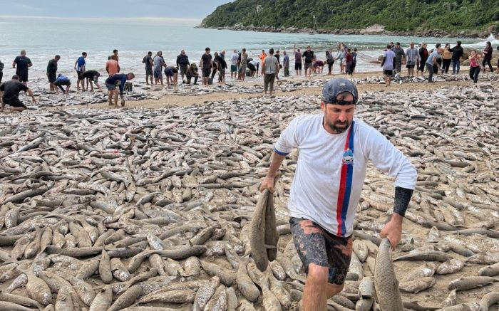 Pescadores artesanais poderão capturar 30% a mais de tainhas
