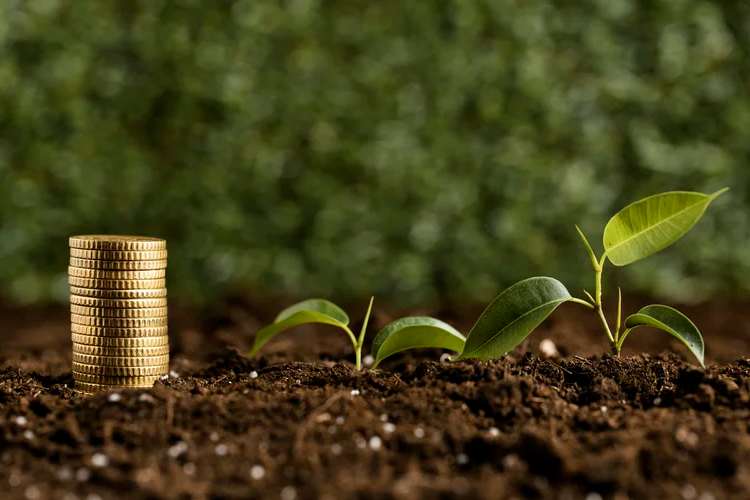 Além da Madeira: Como a Economia Florestal Inteligente Pode Blindar o Futuro do Brasil