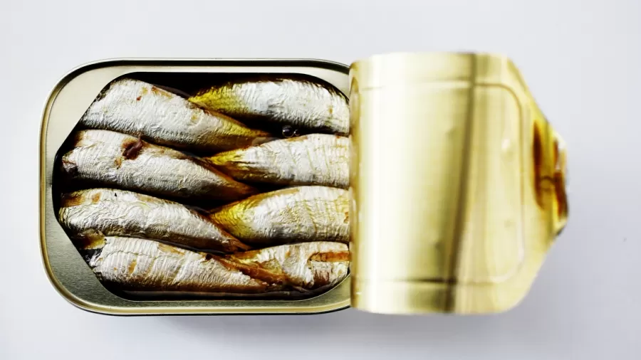 Atum ou sardinha: qual é o peixe enlatado mais saudável