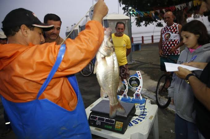 Domínio Absoluto: Pescador Leva o Pódio Completo no Torneio de Robalo Vivo em São João da Barra