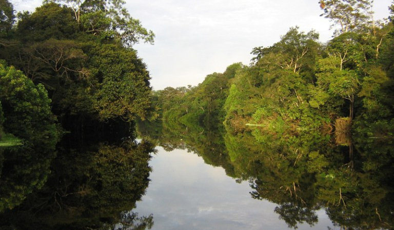 Comitê de Compensação Ambiental Federal alcança R$3,9 bilhões destinados a unidades de conservação