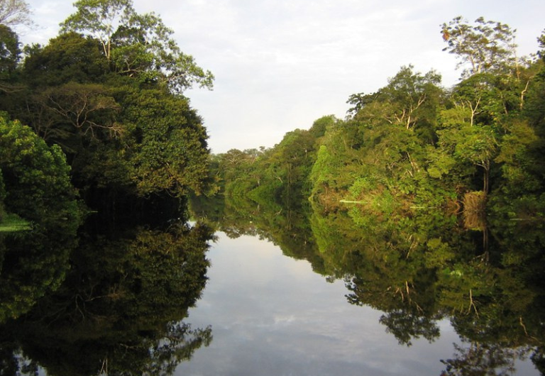 Comitê de Compensação Ambiental Federal alcança R$3,9 bilhões destinados a unidades de conservação