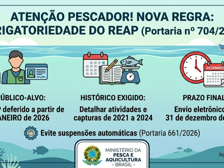 ATENÇÃO, PESCADOR: MPA torna obrigatório o envio do REAP para novos registros; prazo vai até dezembro