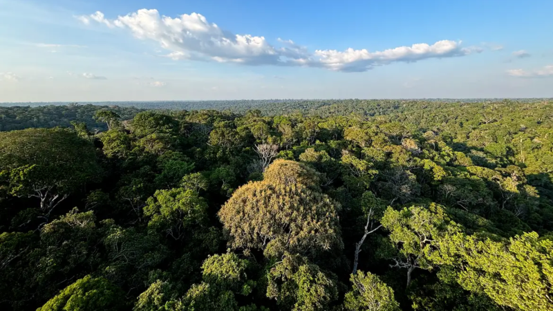 A nova Lei de Licenciamento Ambiental