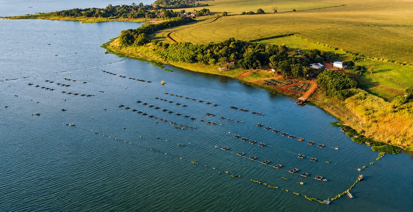 Cultivo de peixes em reservatórios de hidrelétricas é regulamentado no Brasil