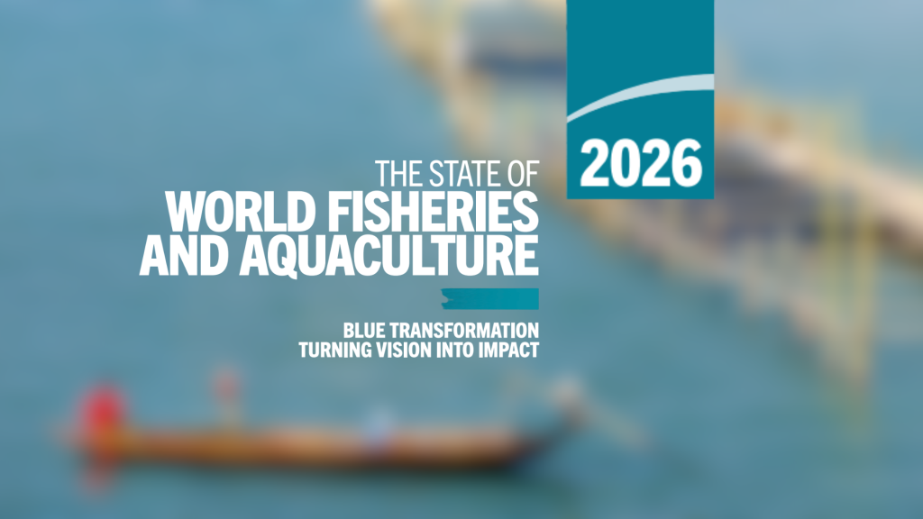 SOFIA 2026: Aquicultura cada vez mais forte no relatório do Estado Mundial da Pesca e Aquicultura 2026 da FAO