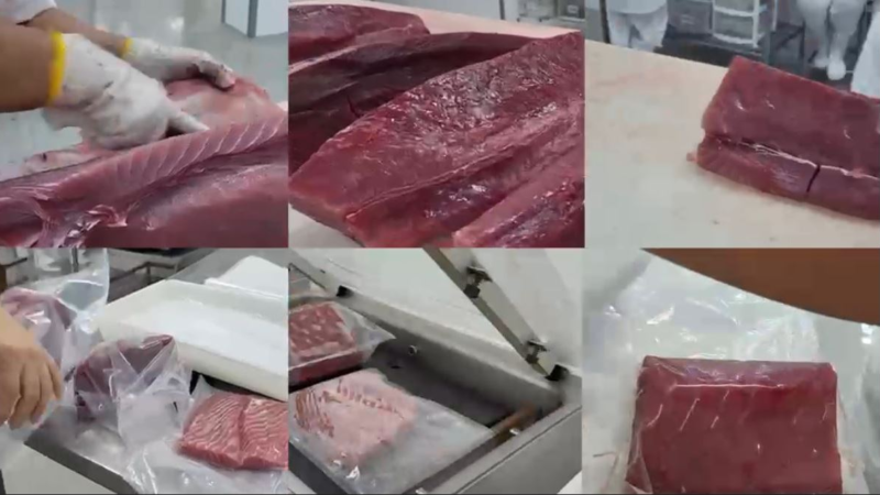 Pesca industrial do RN inicia retomada de fôlego após alívio tarifário dos EUA