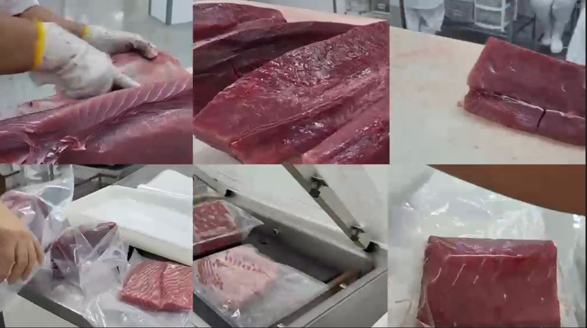 Pesca industrial do RN inicia retomada de fôlego após alívio tarifário dos EUA