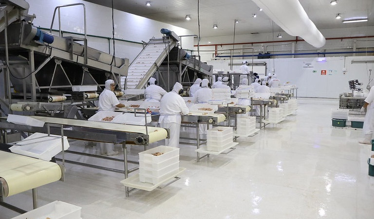 Plano Brasil Soberano: empresas pesqueiras afetadas por tarifas dos EUA podem acessar linhas de financiamento
