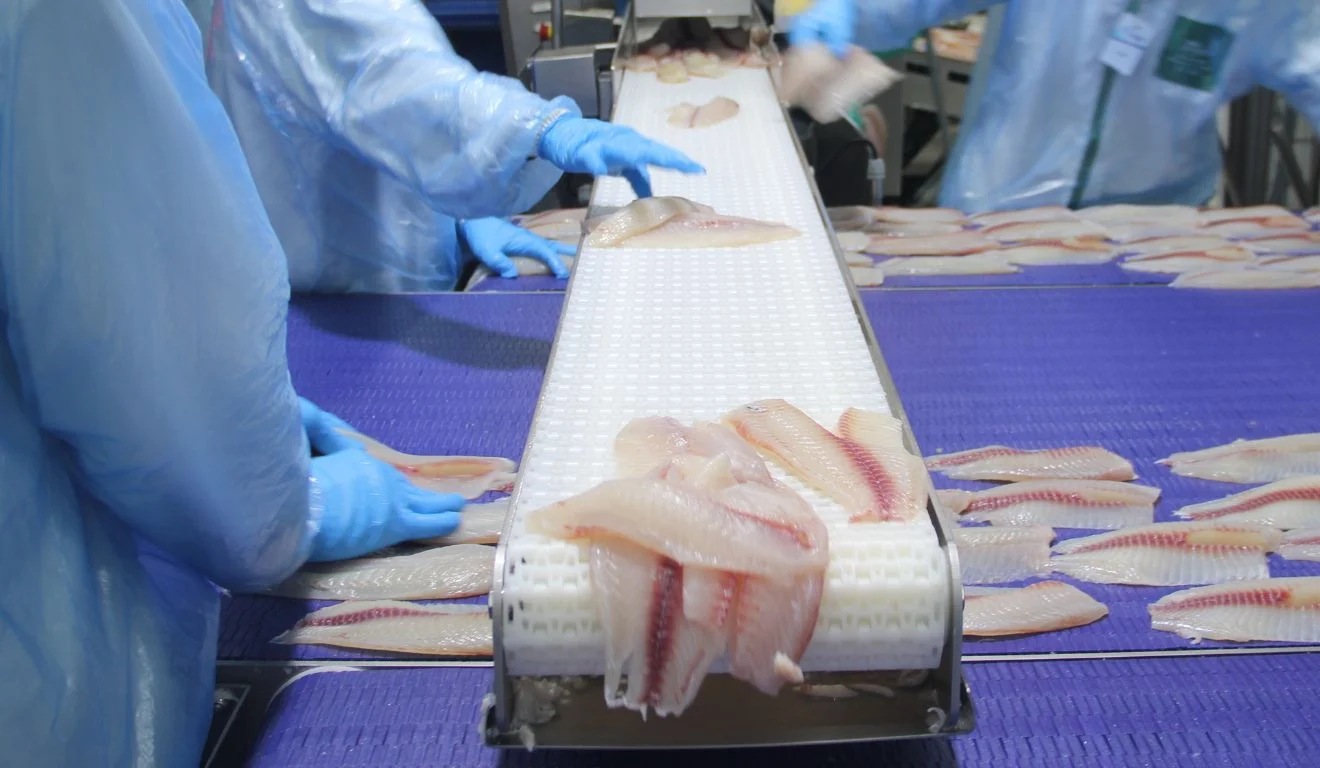 Veja quais espécies e produtos de pescado serão sobretaxadas em 25% no novo tarifaço dos EUA