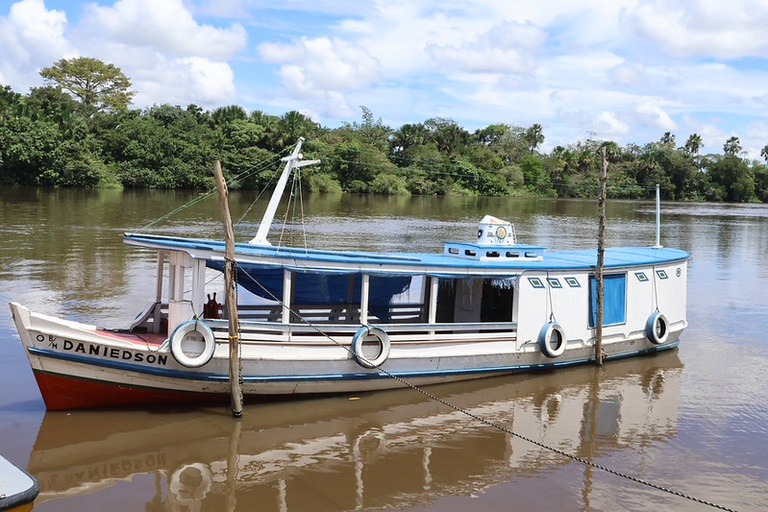 Os pilares da pesca e da aquicultura: entenda os conceitos que fortalecem o setor no Brasil