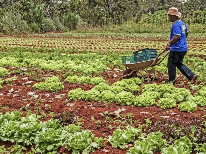ES lança edital de R$ 4,5 mi para pesca e agricultura