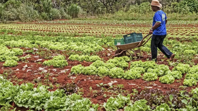 ES lança edital de R$ 4,5 mi para pesca e agricultura