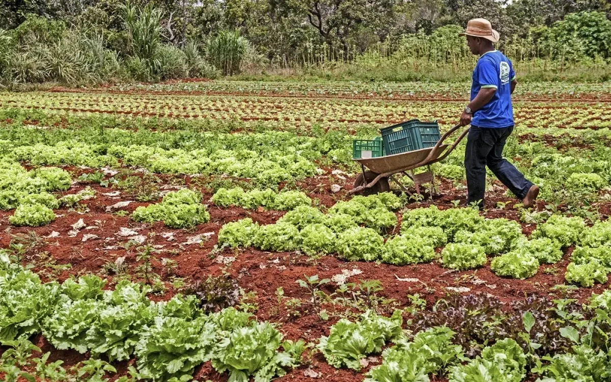 ES lança edital de R$ 4,5 mi para pesca e agricultura