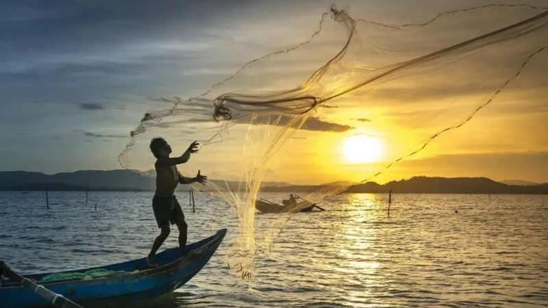 Conferência debate futuro da pesca e aquicultura no ES. Veja