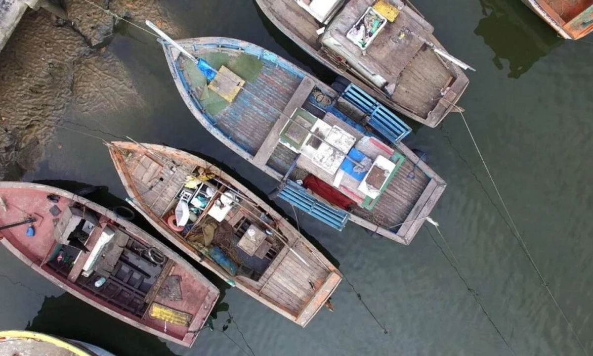 Espírito Santo além das praias óbvias: Dicas turísticas que os locais evitam contar