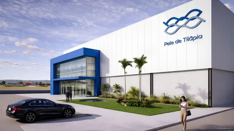 Uso de pele de tilápia na medicina impulsiona construção de fábrica de R$ 52 milhões no Ceará