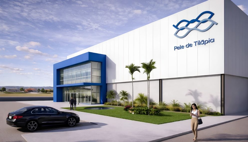 Uso de pele de tilápia na medicina impulsiona construção de fábrica de R$ 52 milhões no Ceará