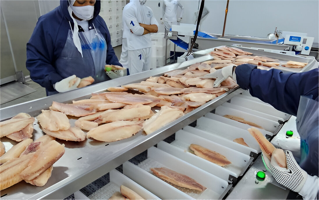 Tilápia perde valor em todas as praças monitoradas pelo Cepea no início de agosto