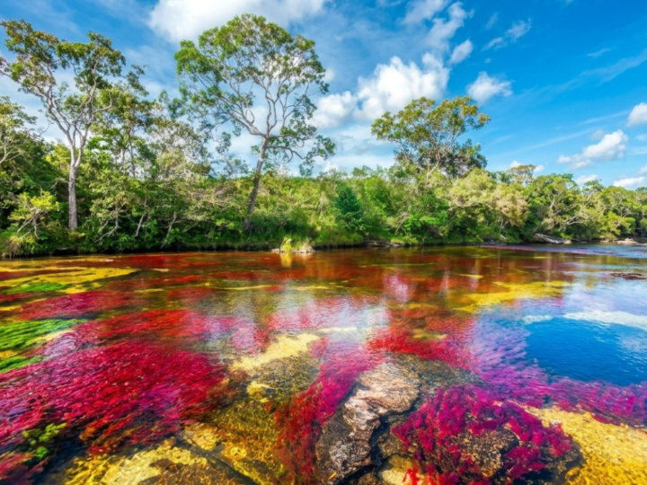 Onde um rio ganha 5 cores: vermelho, amarelo, azul, verde e preto, em um fenômeno único que só aparece entre junho e novembro