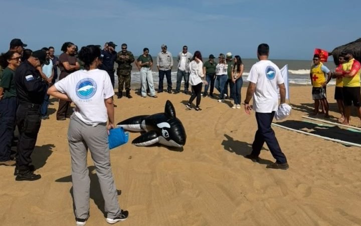 SJB capacita equipes para atendimento a encalhes de mamíferos marinhos