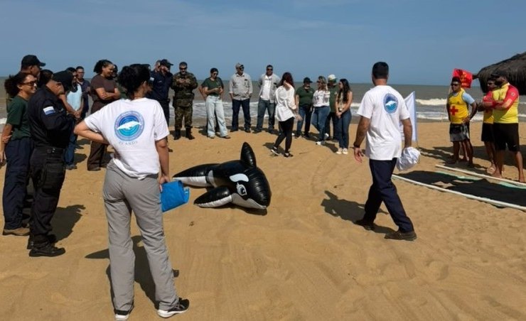 SJB capacita equipes para atendimento a encalhes de mamíferos marinhos