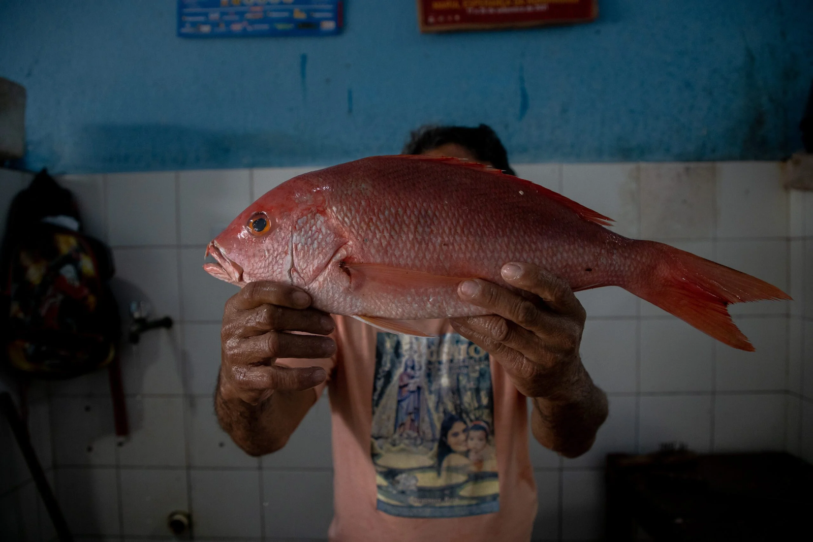 Alerta no Mar: Captura do Pargo Atinge 80% da Cota Anual e Temporada se Aproxima do Fim