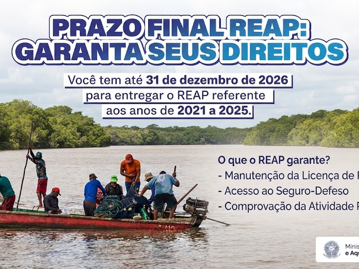 Prazo Final: Pescadores profissionais têm até 31 de dezembro para enviar o REAP referente aos anos de 2021 a 2025