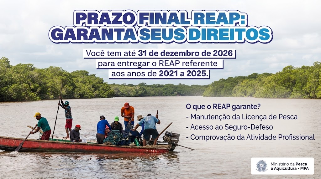 Prazo Final: Pescadores profissionais têm até 31 de dezembro para enviar o REAP referente aos anos de 2021 a 2025